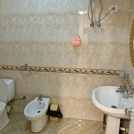 Palm Tirana